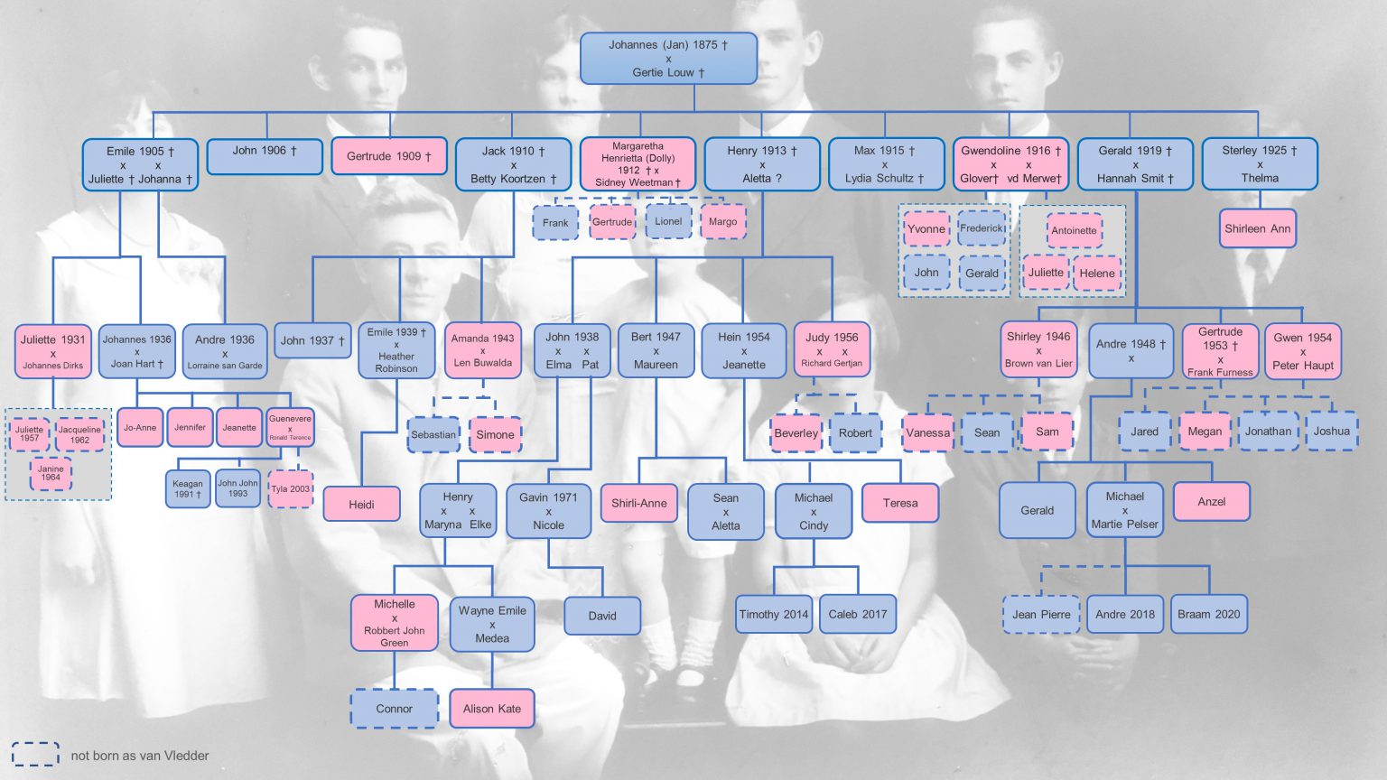 Venter Family Tree South Africa